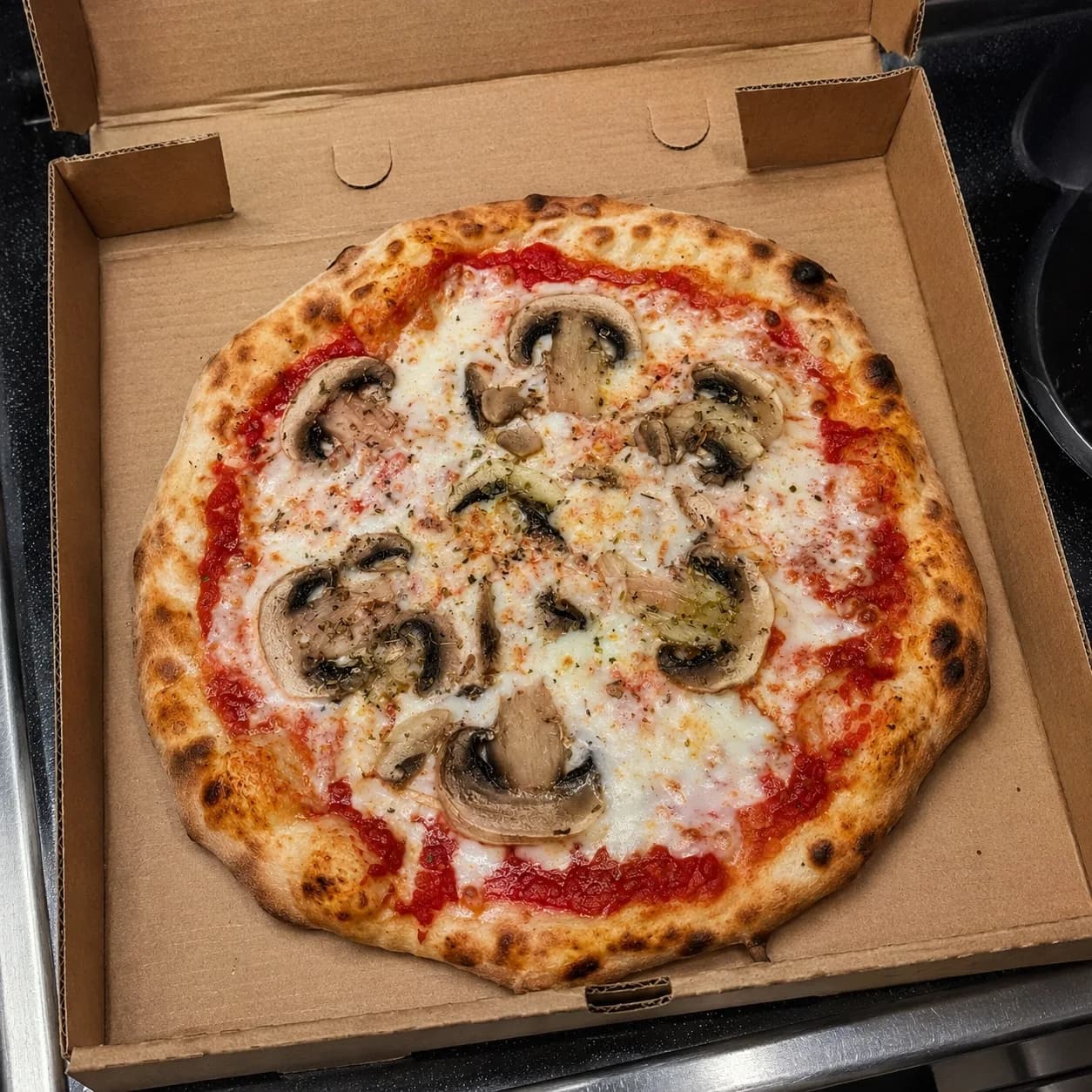 Hongos